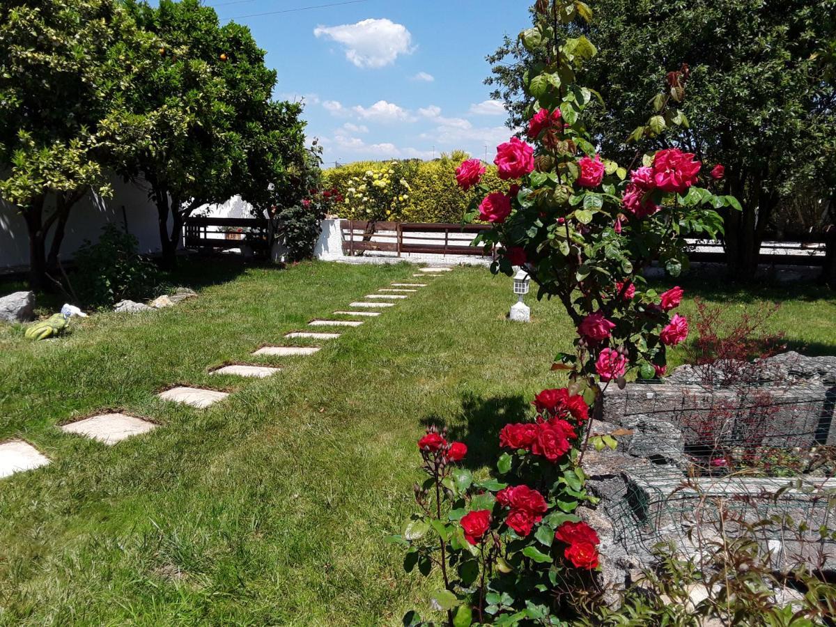 Quinta Camargue Acomodação com café da manhã Cela Velha Exterior foto