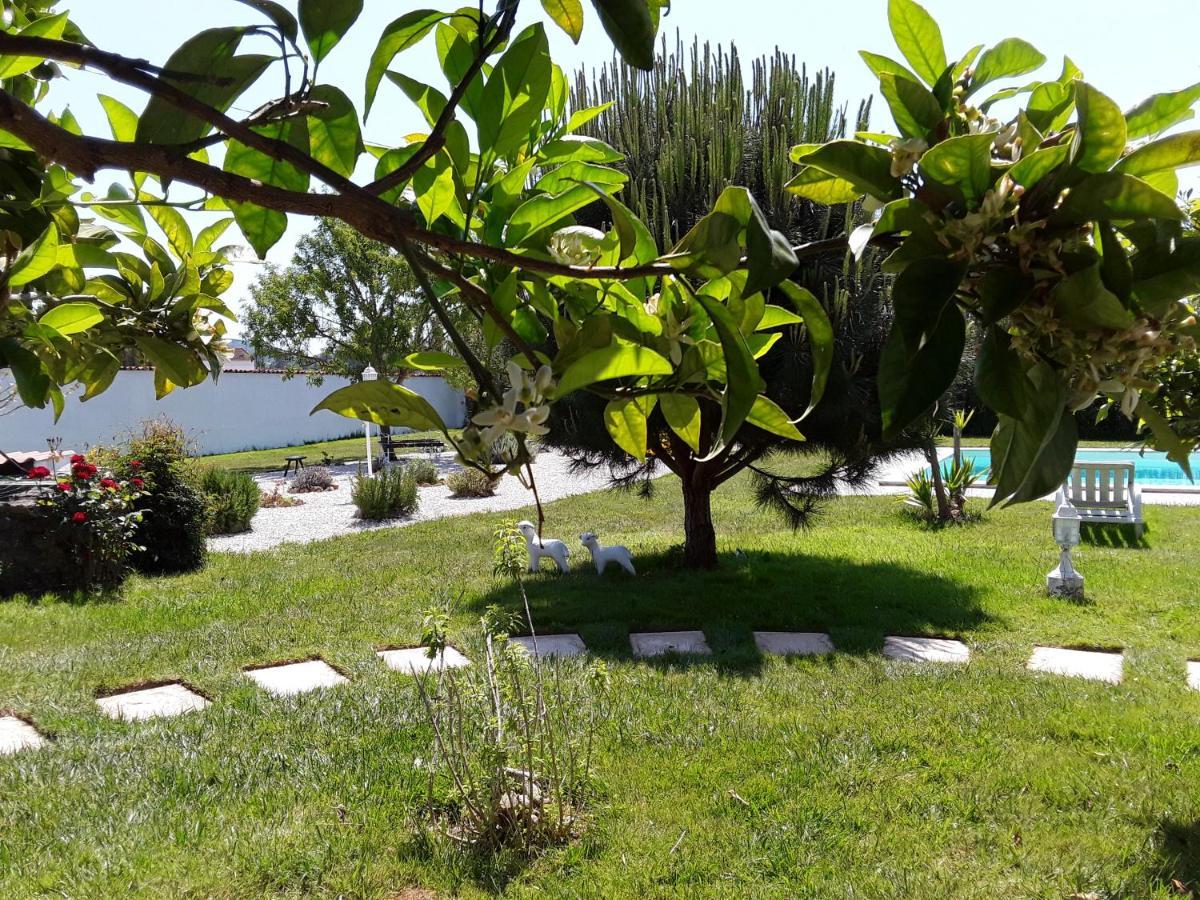 Quinta Camargue Acomodação com café da manhã Cela Velha Exterior foto