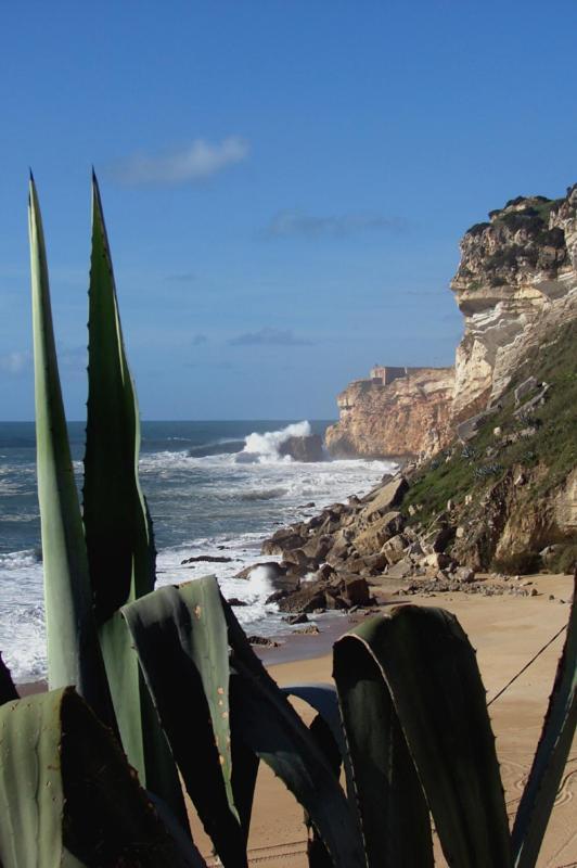 Quinta Camargue Acomodação com café da manhã Cela Velha Exterior foto