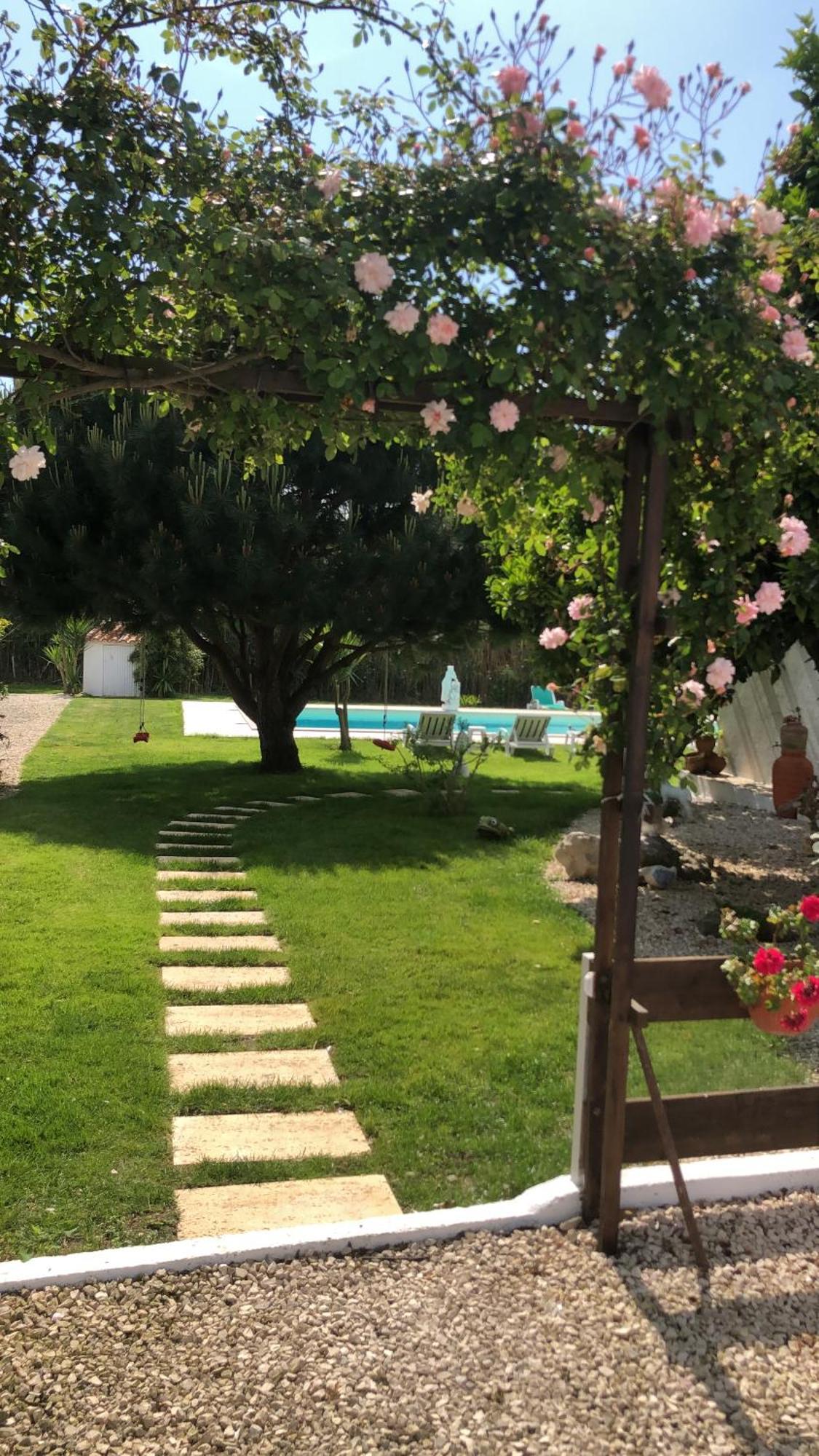Quinta Camargue Acomodação com café da manhã Cela Velha Exterior foto