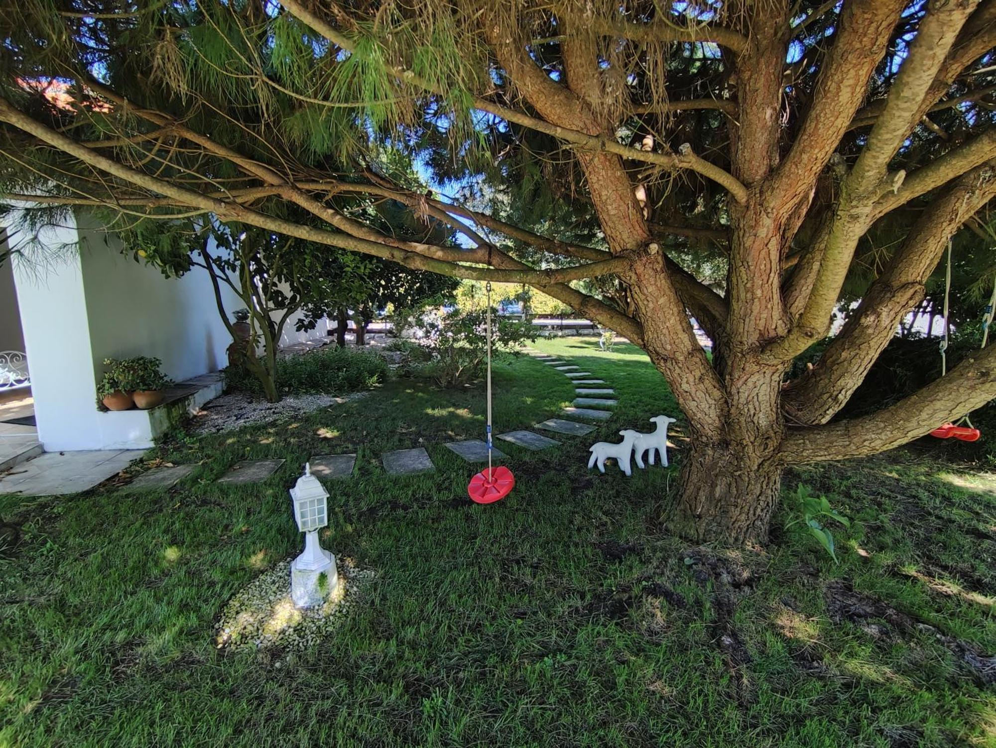 Quinta Camargue Acomodação com café da manhã Cela Velha Exterior foto
